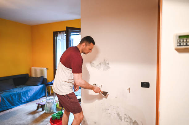 Office Mold Removal Services in Mesa, AZ